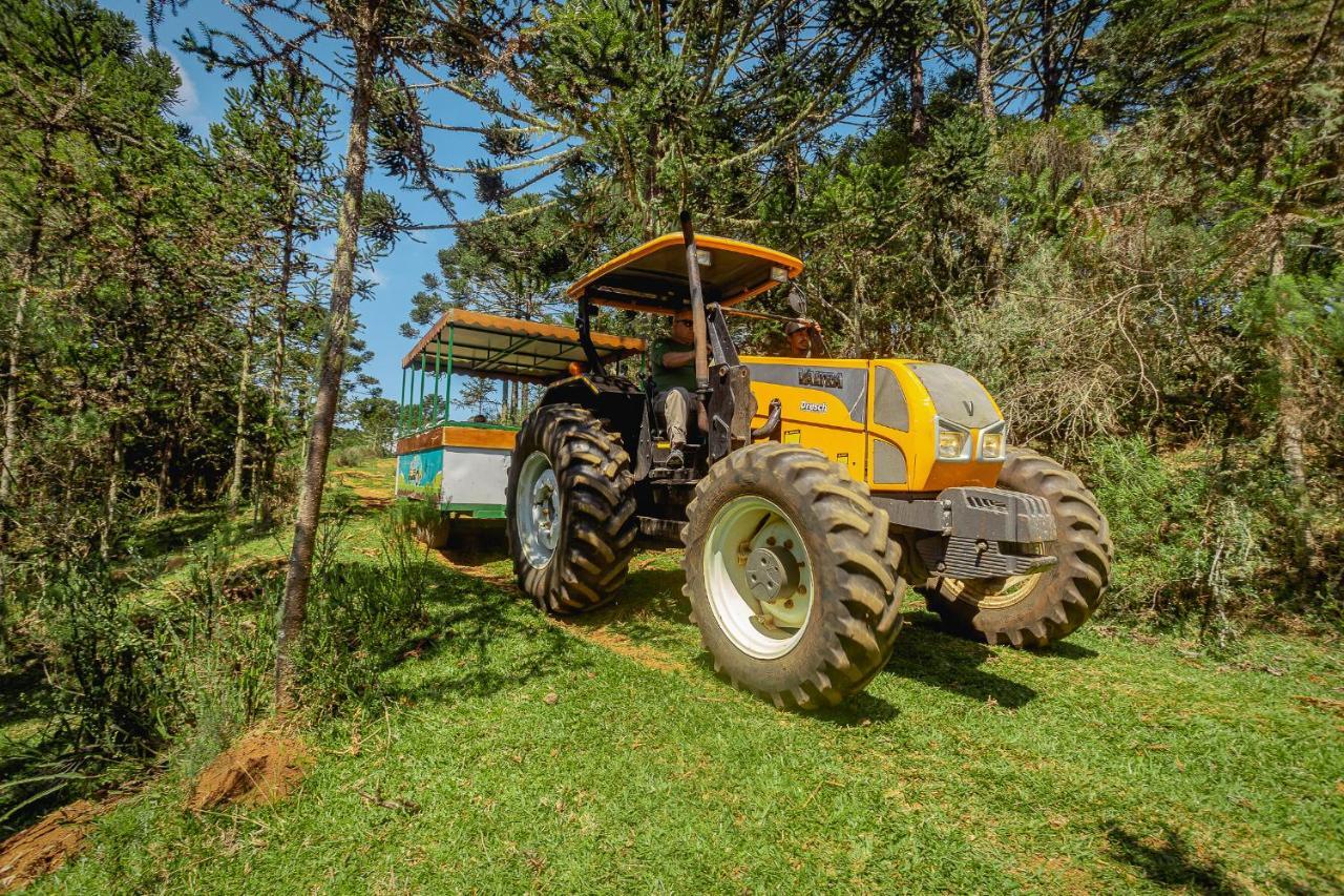 Hotel Fazenda Rota Dos Canions Bom Jardim da Serra Kültér fotó
